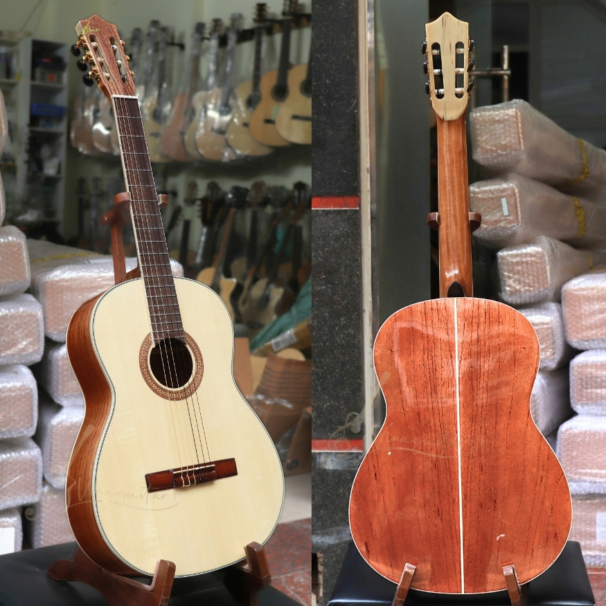 dan-guitar-classic-vg-chd-premium-dang-tron-go-hong-dao-nu-boc-tut-am-hay