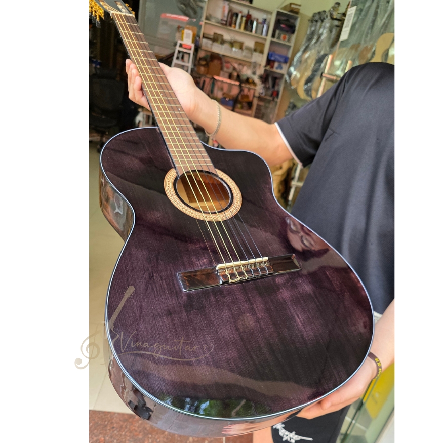 dan-guitar-acoustic-vinaguitar-vg-chdm-vintage
