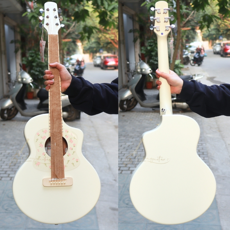 dan-guitar-acoustic-daisy-d200-full-size-41-inch-dang-a-am-vang-day-choi-on-dinh