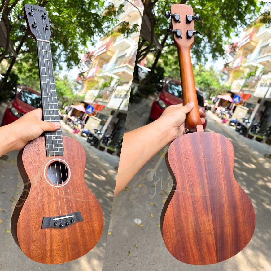 dan-ukulele-tenor-didou-b31-full-mahogany-chat-luong-cao