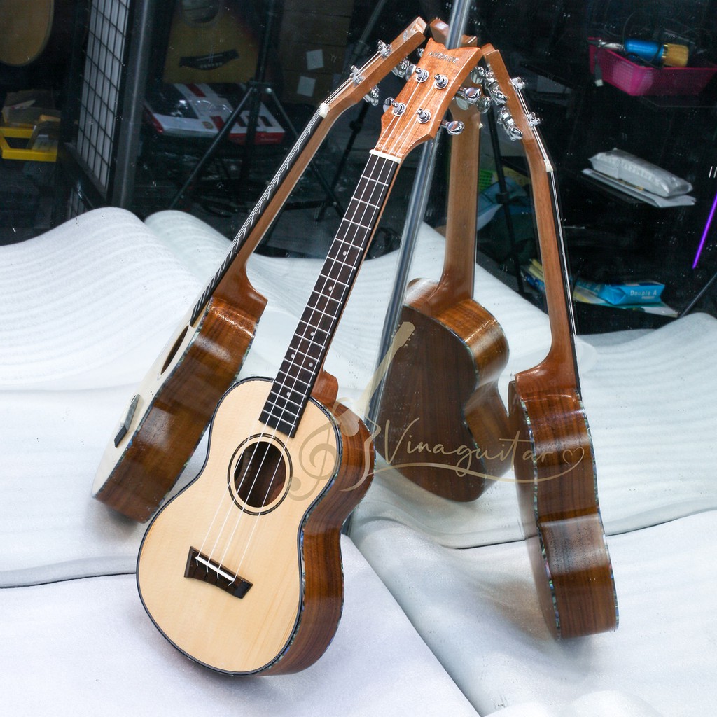 dan-ukulele-andrew-vu-tx-mv-koa-vinaguitar-phan-phoi