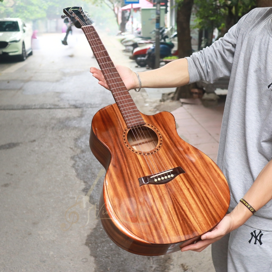 dan-guitar-acoustic-vinaguitar-vg-fdv6-full-go-diep-100-go-thit