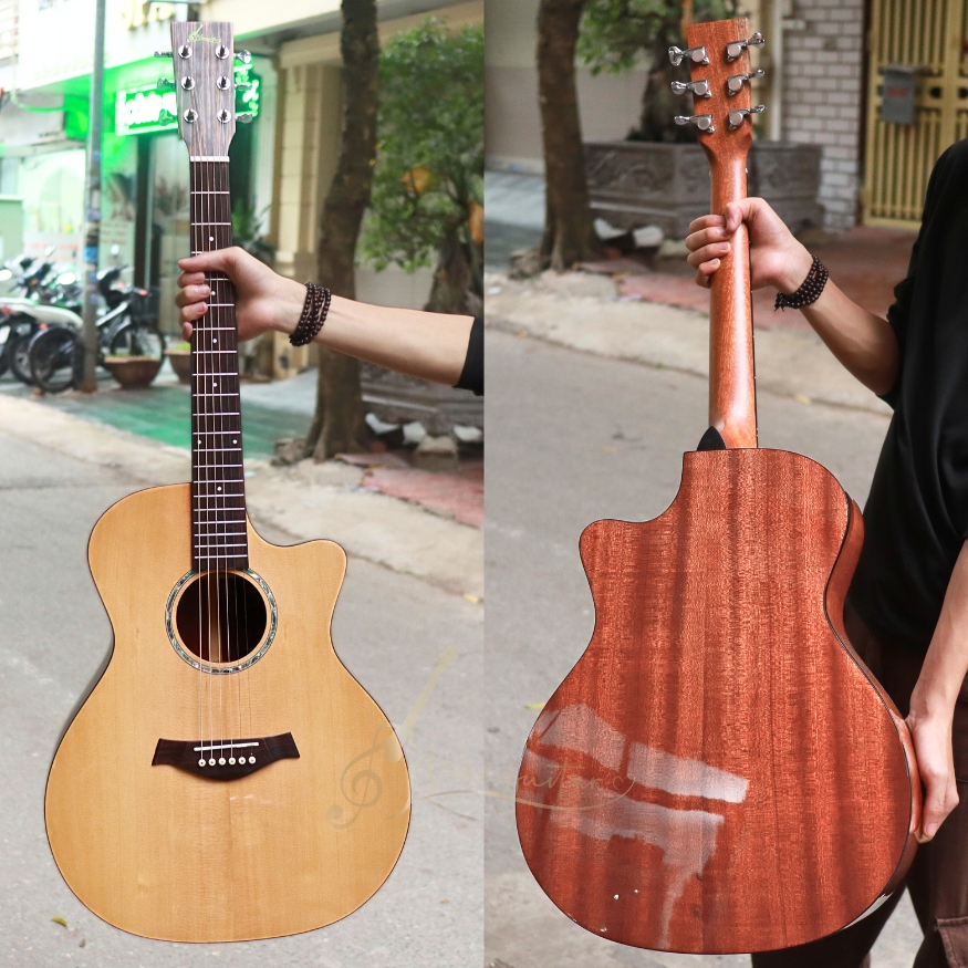 dan-guitar-acoustic-custom-vg-mg8