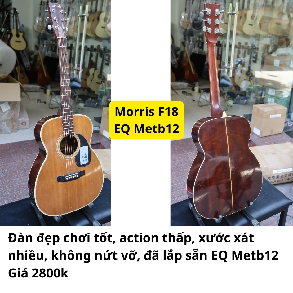 dan-guitar-acoustic-morris-f18-eq-metb12-chat-luong-tot