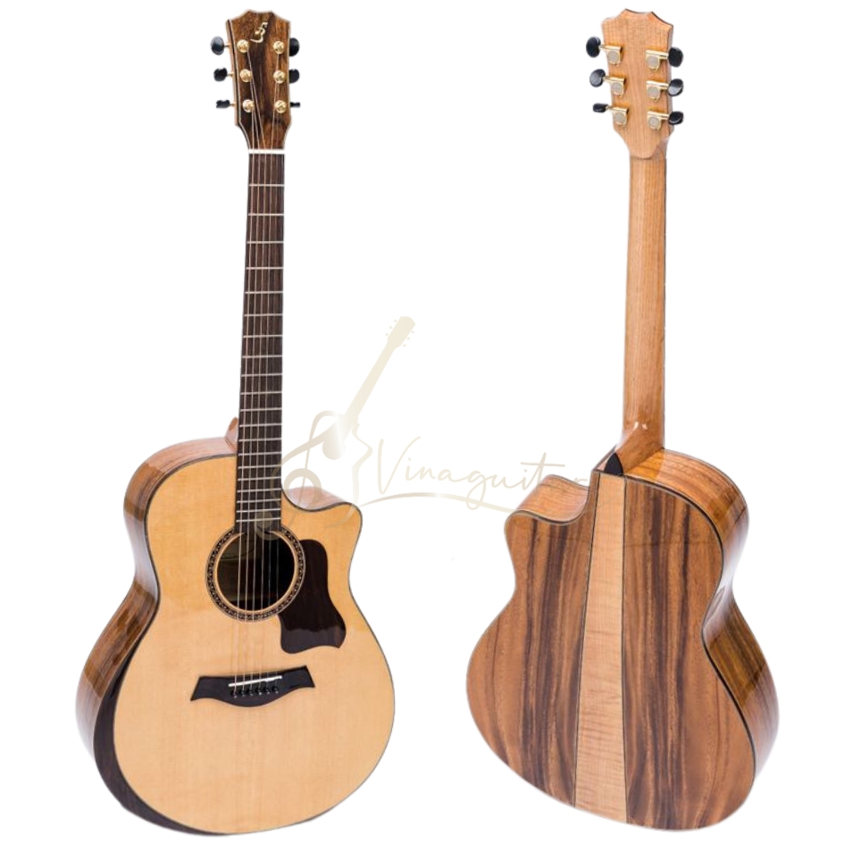 dan-guitar-acoustic-ba-don-t600-tang-12-phu-kien-va-bao-hanh-2-nam