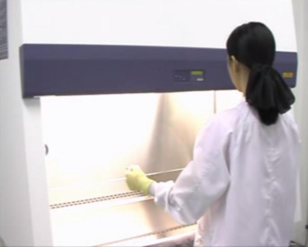 setup-mot-phong-thi-nghiem-nuoi-cay-mo-thuc-vat-can-nhung-vat-tu-gi