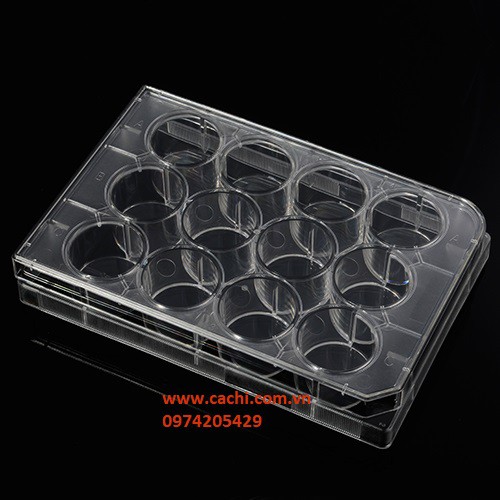 Đĩa nhựa 12 giếng đáy phẳng, có nắp