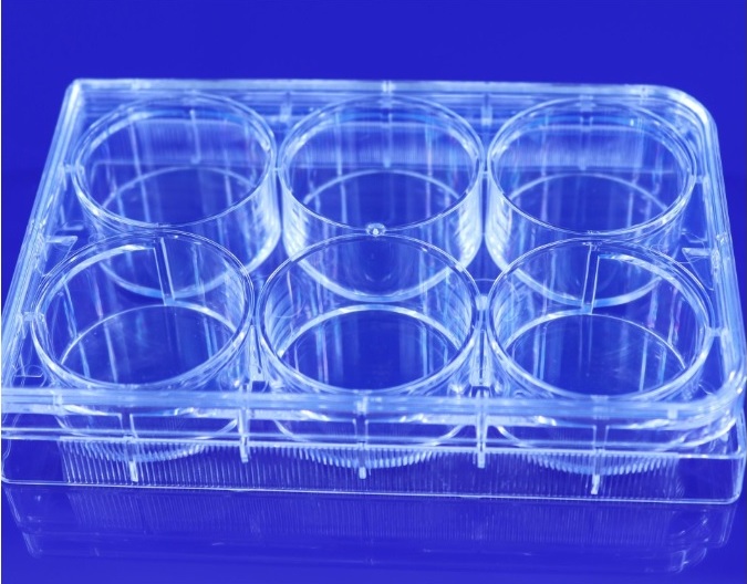 Đĩa nuôi cấy tê bào 6 giếng - Nest