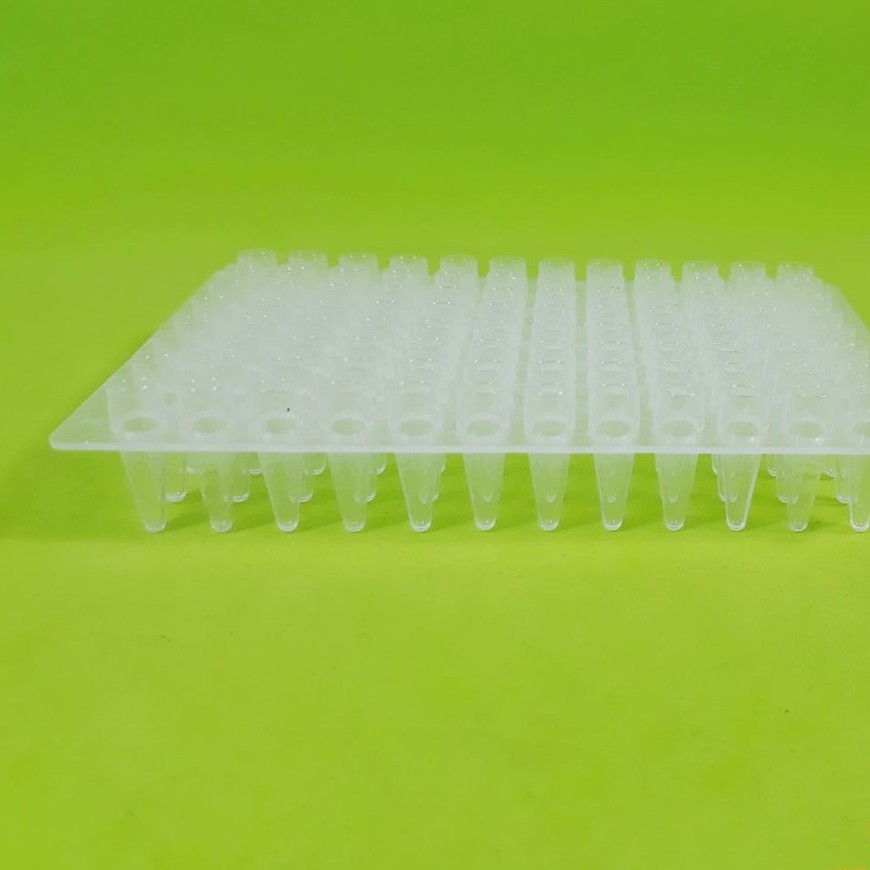 Đĩa PCR 96 lỗ, 0.2ml