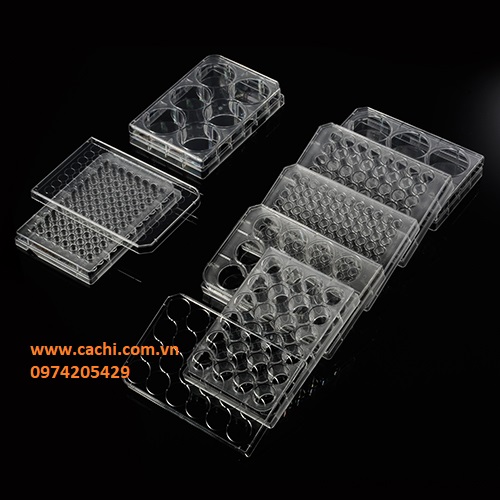 Đĩa nuôi cấy tế bào 48 giếng - Biologix