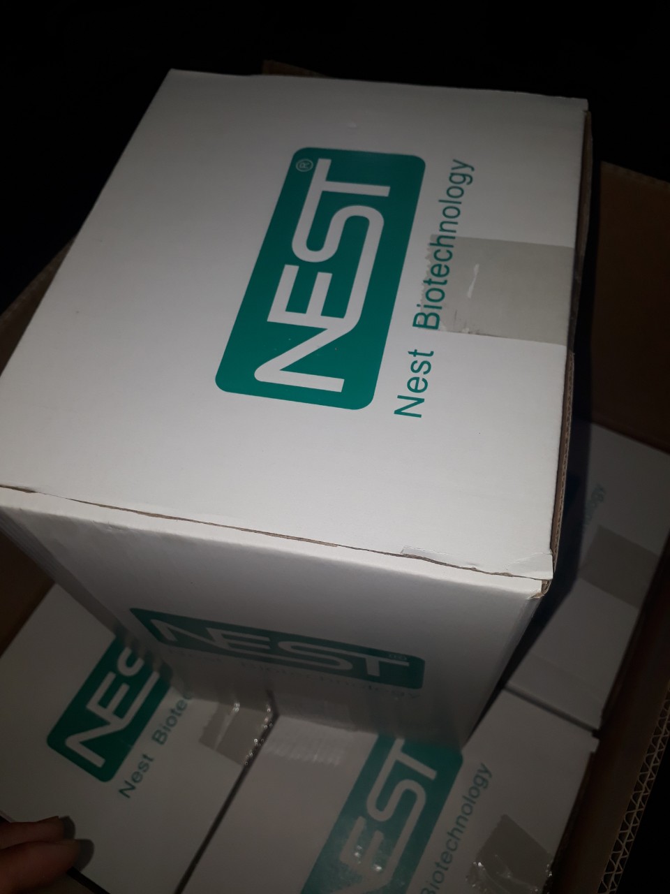 500 cái Pipet paster 3ml tiệt trùng - Nest, 318212