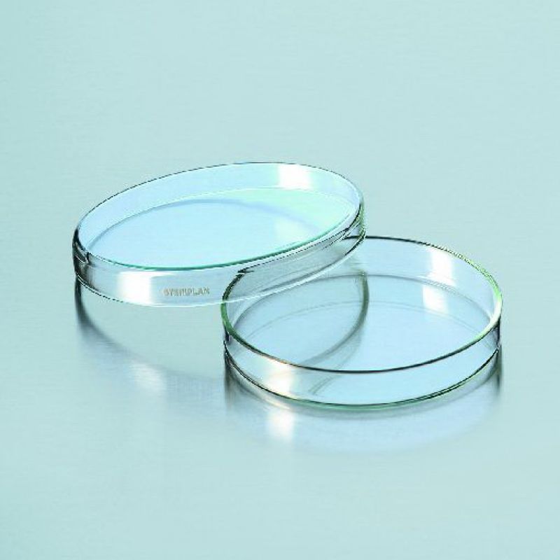 Đĩa petri phi 90x15mm - Gamalab - Đức
