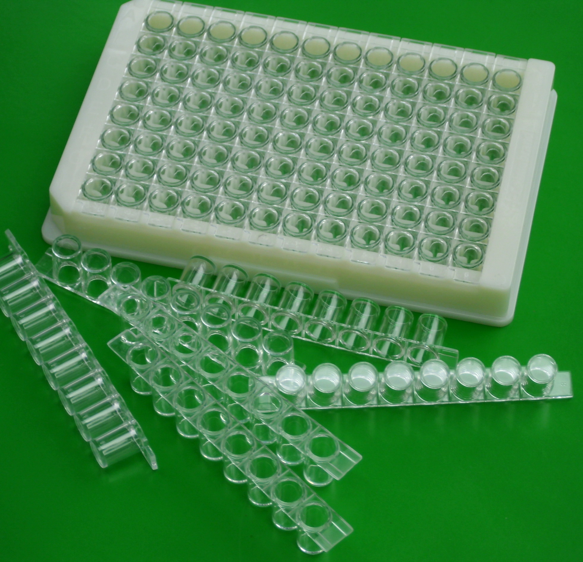 Thùng 100 cái Đĩa elisa 96 giếng có thể tách rời, loại 8 trip