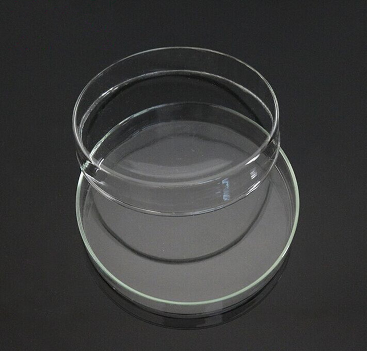 Đĩa petri phi 90x15mm - Gamalab - Đức