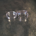 Đĩa petri nhựa phi 35 (túi 10 cái) - jet Biofill