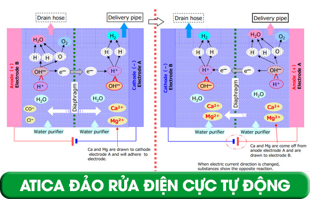 atica đảo rửa điện cực tự động