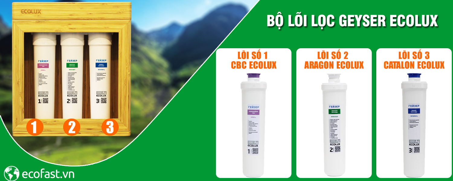 Thay lõi lọc nước Catalon Ecolux - Máy lọc Geyser ECOLUX A