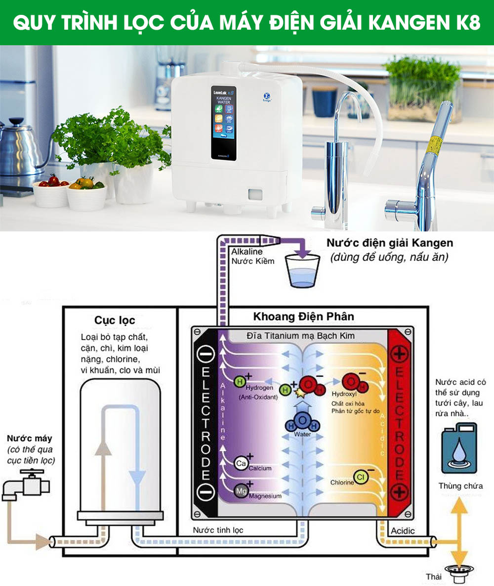 Quy trình lọc máy ion kiềm Kangen K8 Ecofast