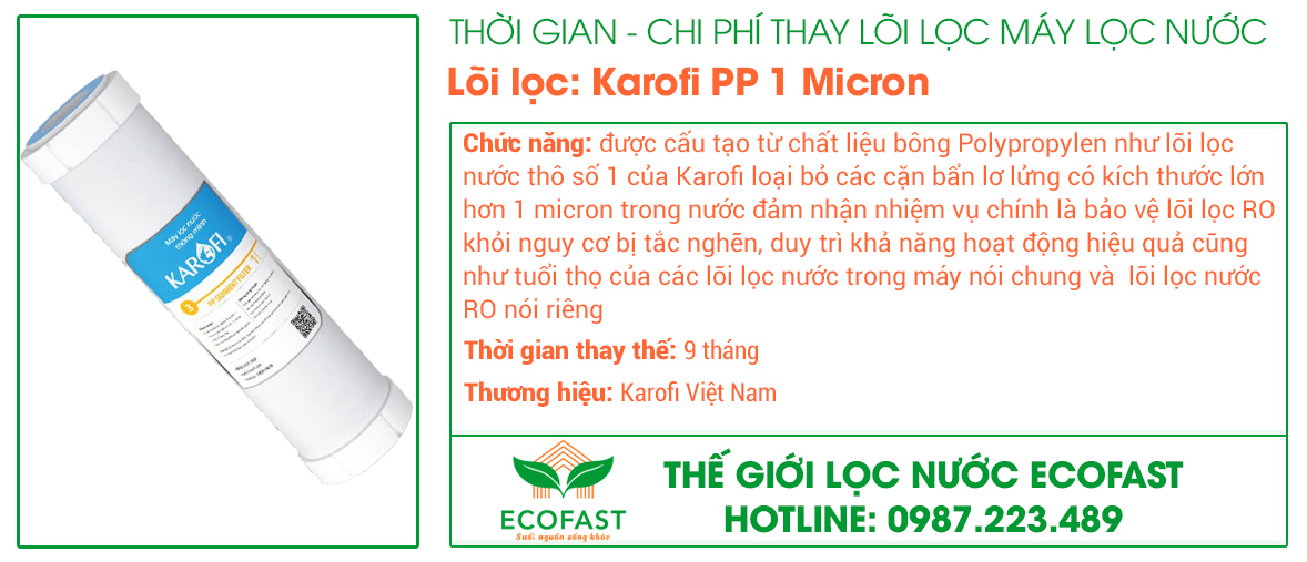 Lõi lọc nước thô số 3: PP 1 Micron