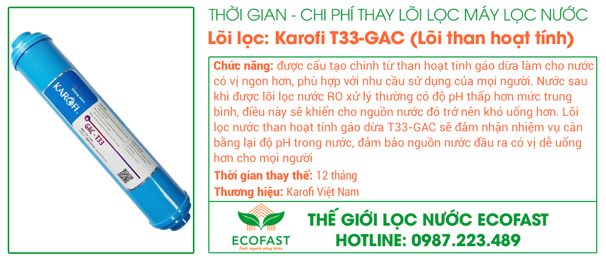 Lõi lọc nước số 5: T33-GAC (Lõi than hoạt tính)