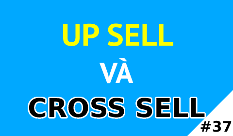 UP SELL & CROSS SELL