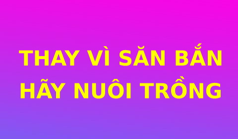TƯ CHẤT CỦA NGƯỜI KHÔN NGOAN: THAY VÌ SĂN BẮN, HÃY LO NUÔI TRỒNG