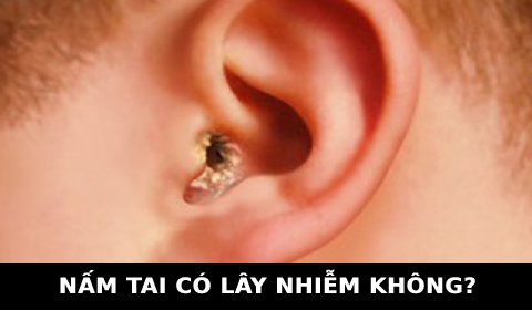 NẤM TAI CÓ LÂY NHIỄM KHÔNG? THỢ TÓC CẦN BIẾT