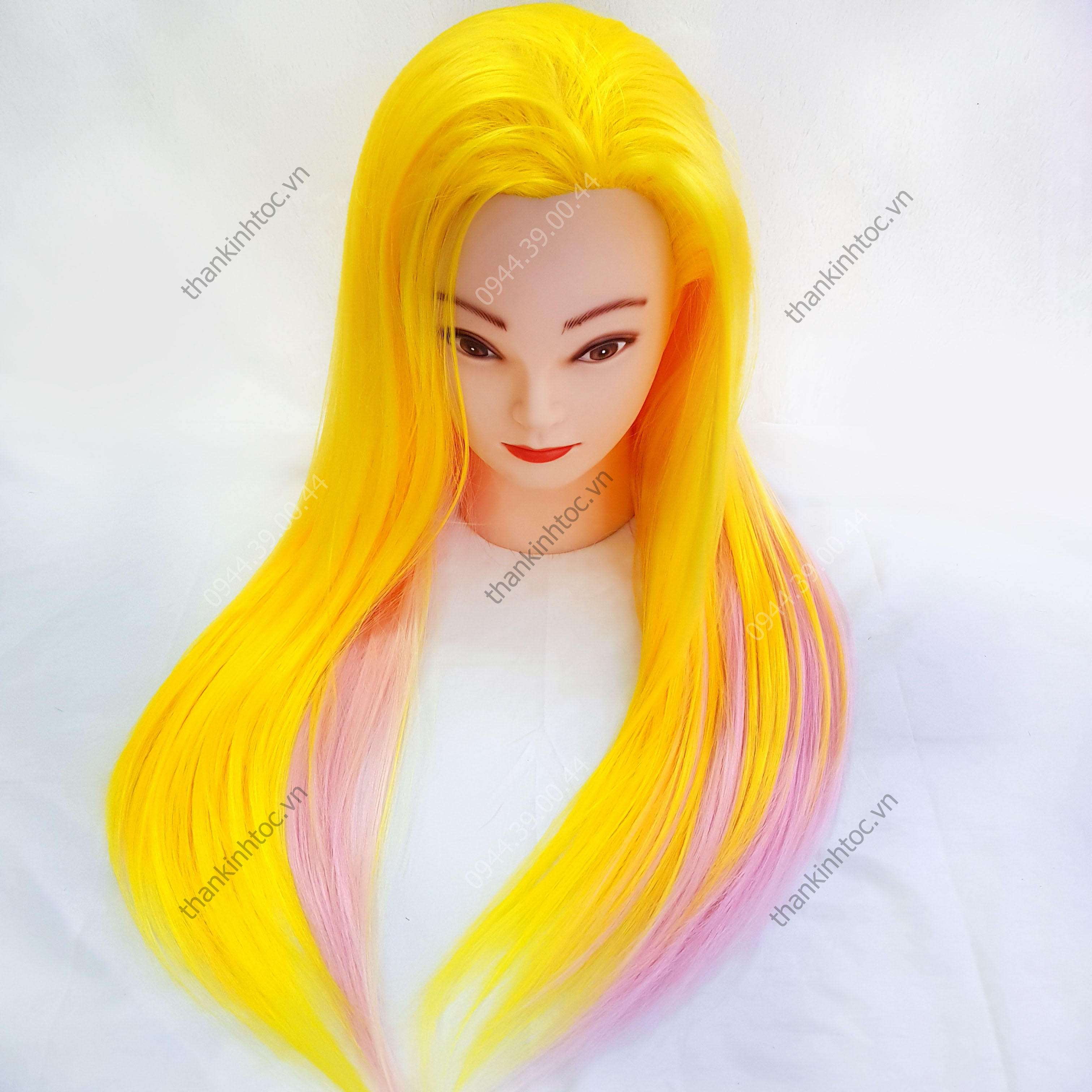 Đầu Ken Màu Ombre Tập Cắt & Tết Tóc Chuyện Nghiệp