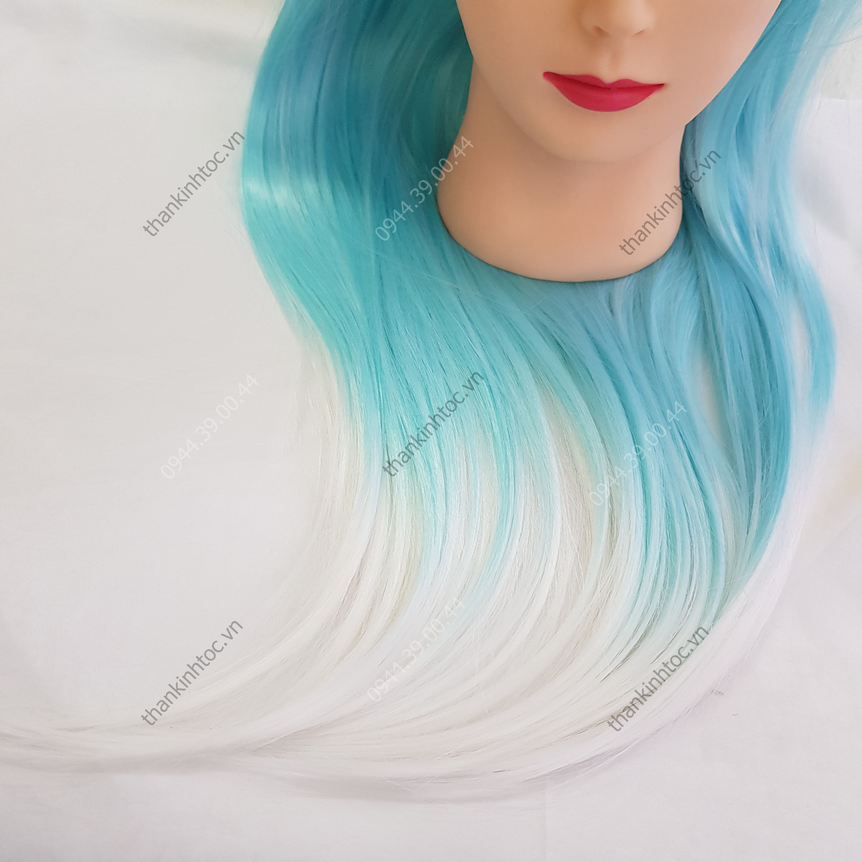 Đầu Ken Màu Ombre Tập Cắt & Tết Tóc Chuyện Nghiệp