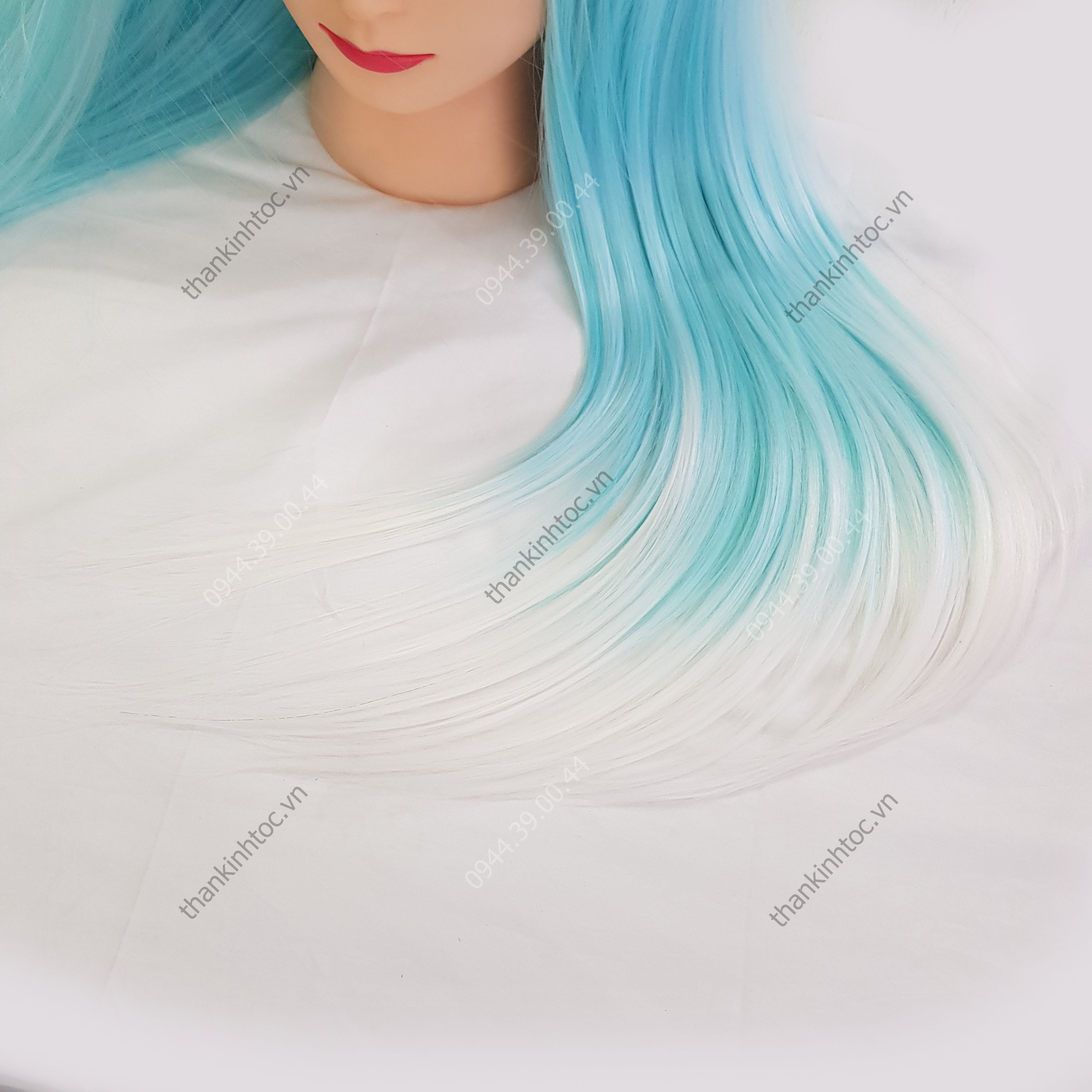 Đầu Ken Màu Ombre Tập Cắt & Tết Tóc Chuyện Nghiệp