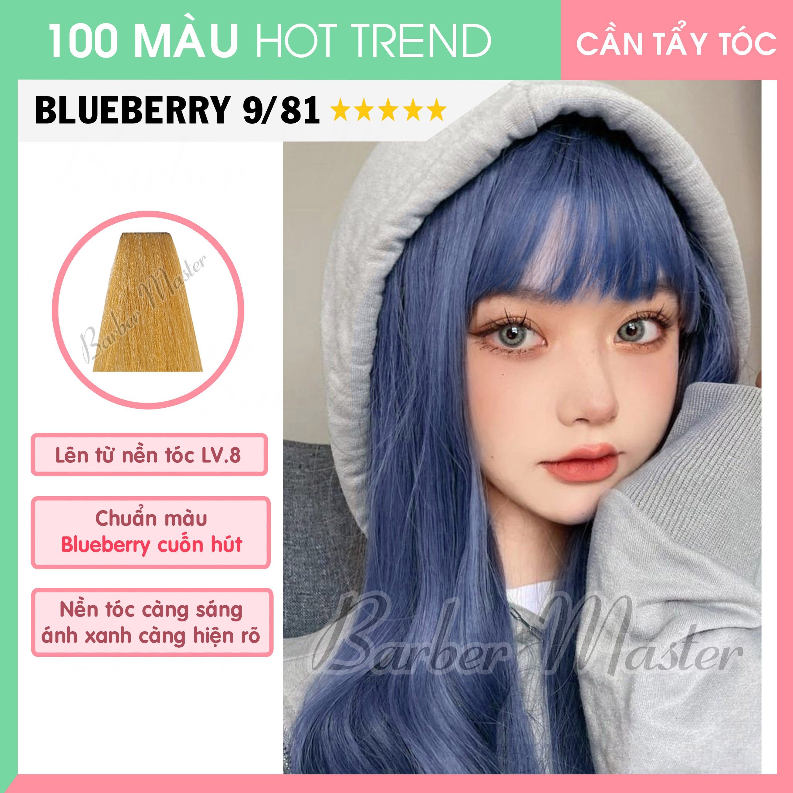 9/81 Blueberry - Level 8