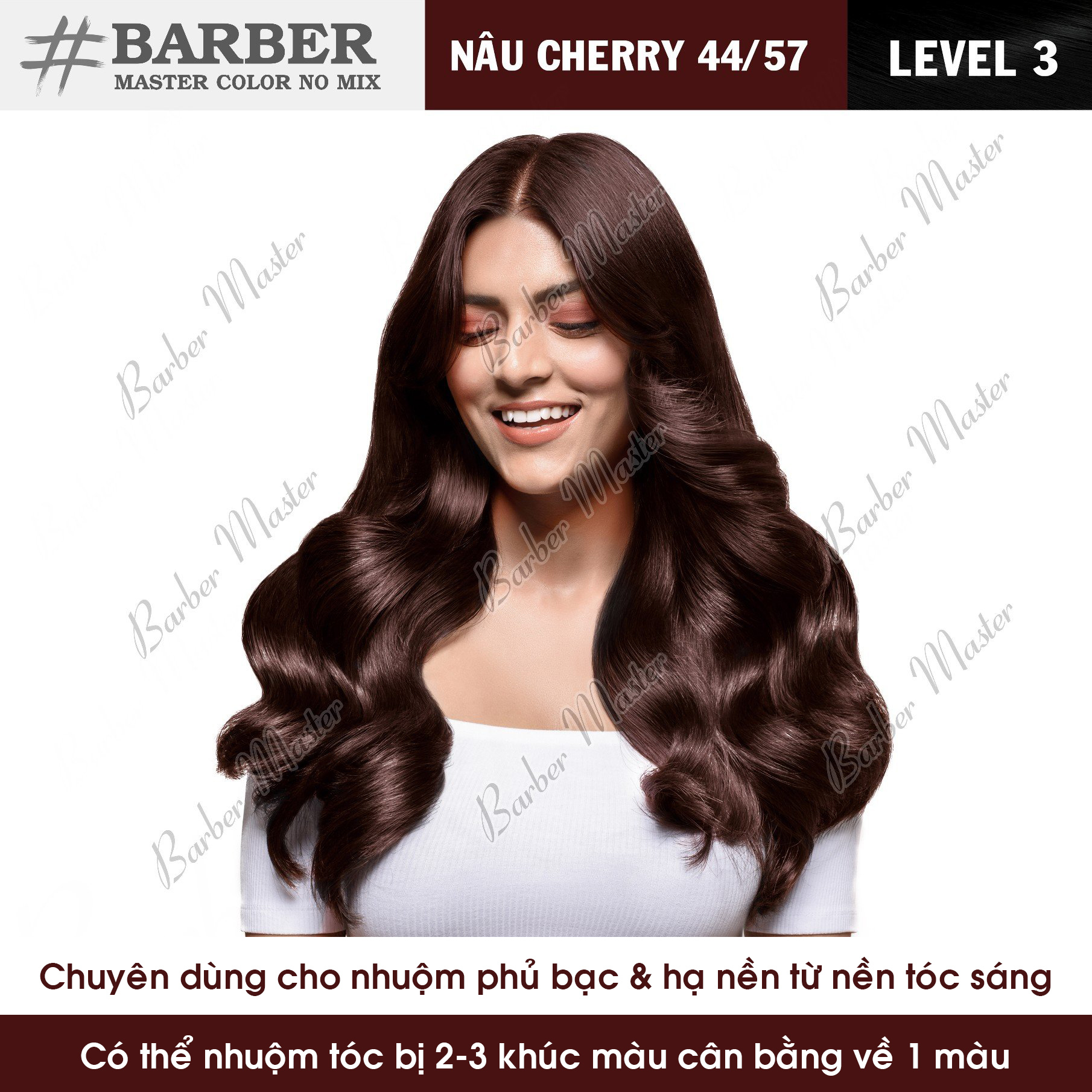 Bộ 10 màu Nhuộm phủ bạc không cần bù màu