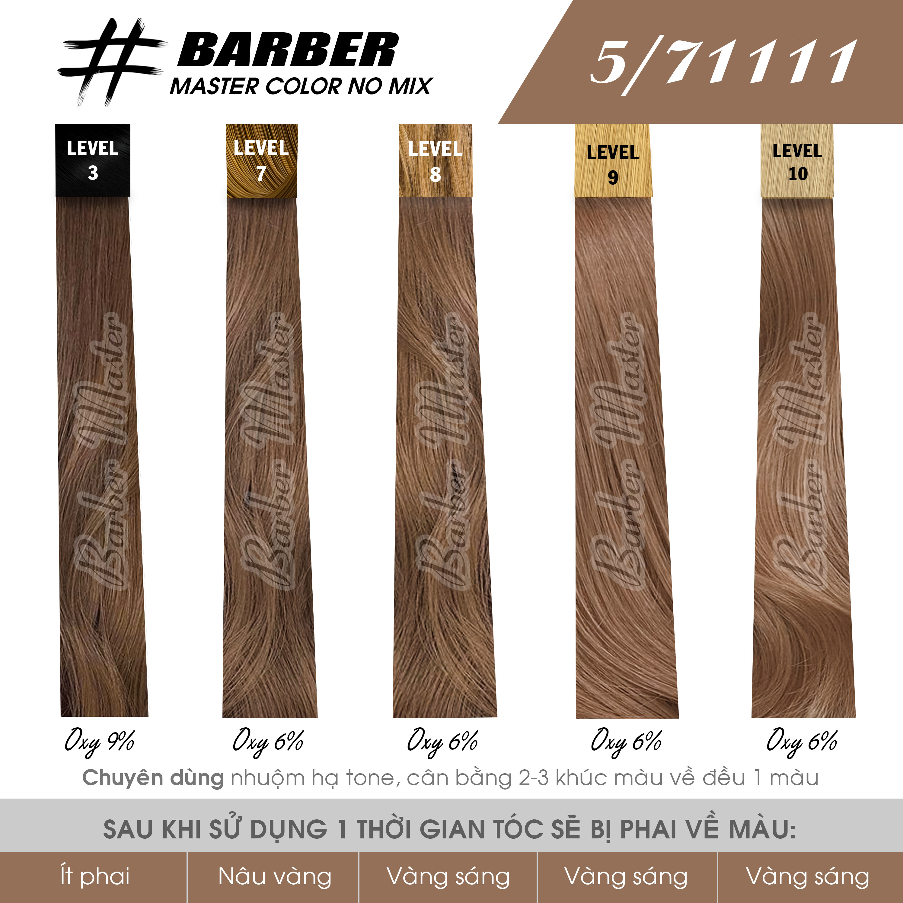 Bộ 10 màu Nhuộm phủ bạc không cần bù màu