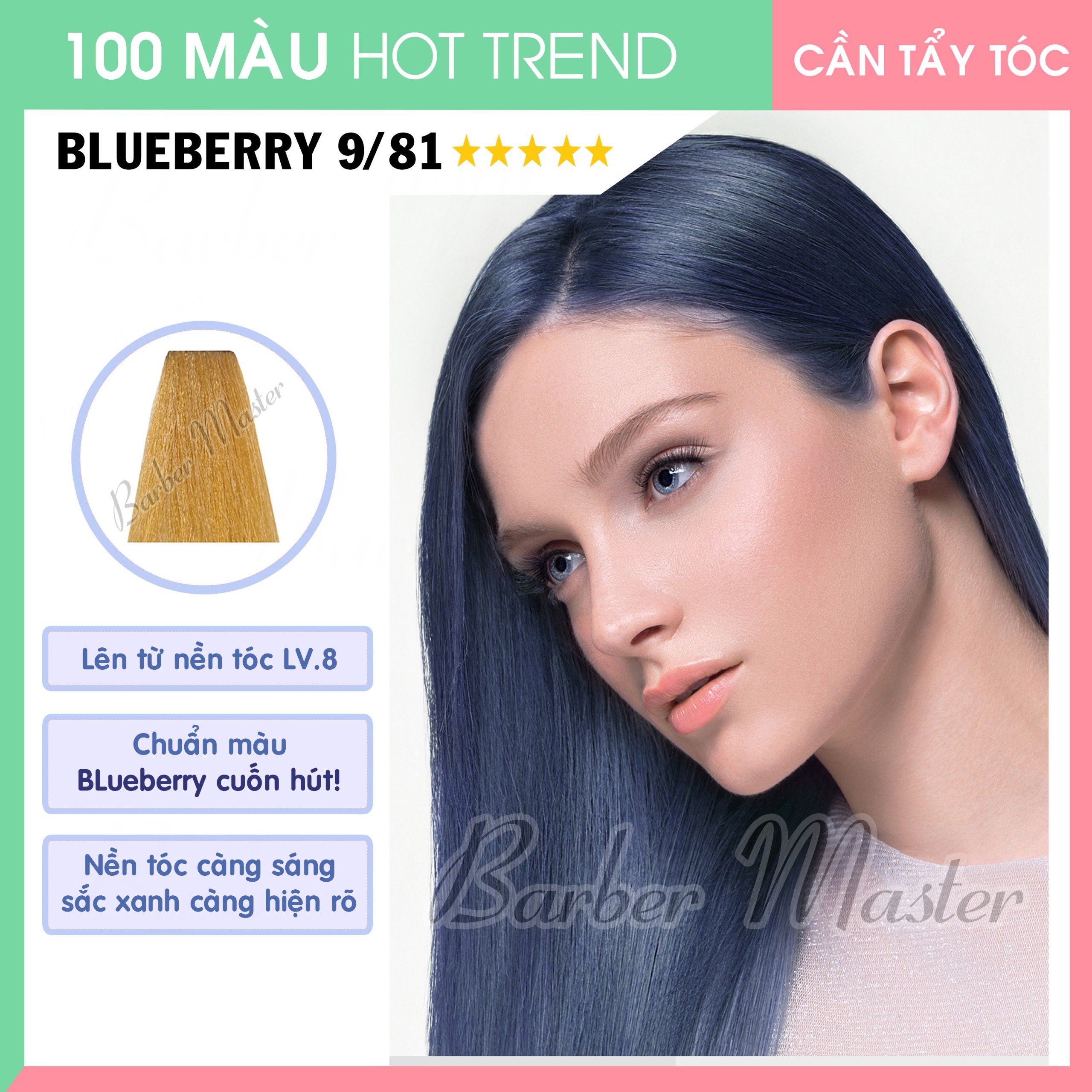 9/81 Blueberry - Level 8