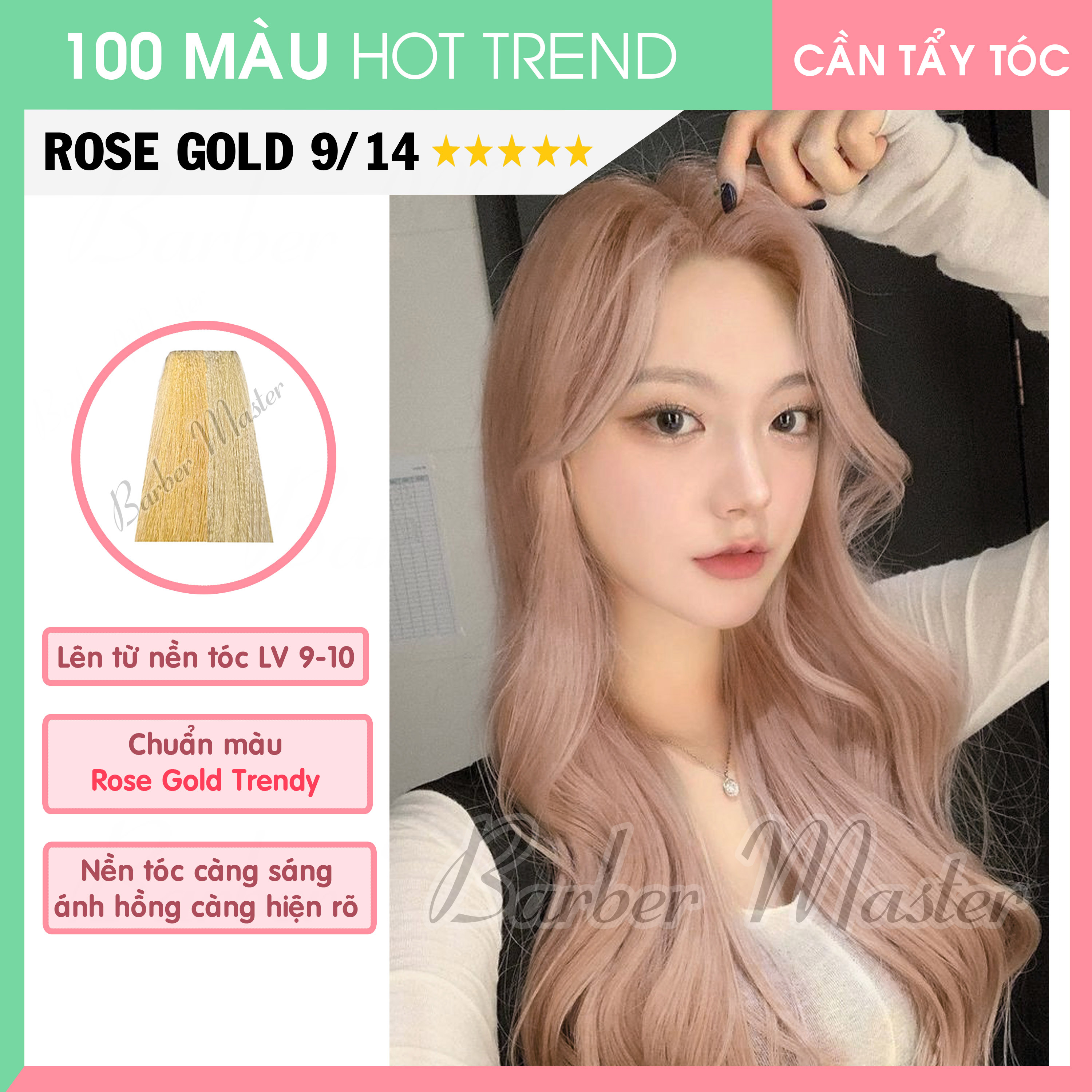 Bộ 21 màu Nhuộm trên nền tóc Level 9-10