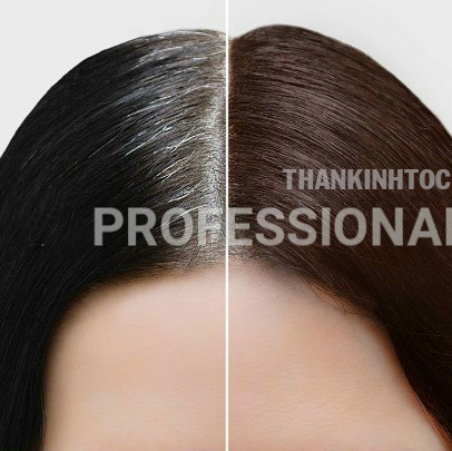 Dầu Gội Nâu Phủ Bạc Không Dính Da Đầu - Thảo Dược Nhân Sâm Hàn Quốc Chính Hãng 500ML