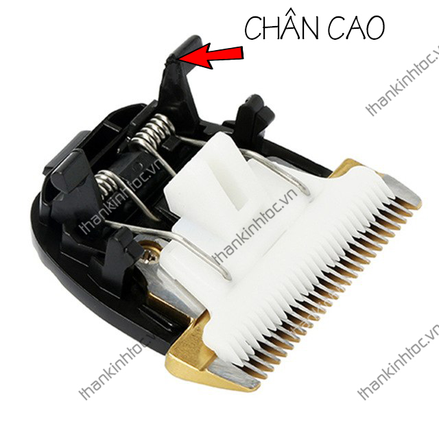 Lưỡi Sứ Chân Cao Trắng Tông Tròn