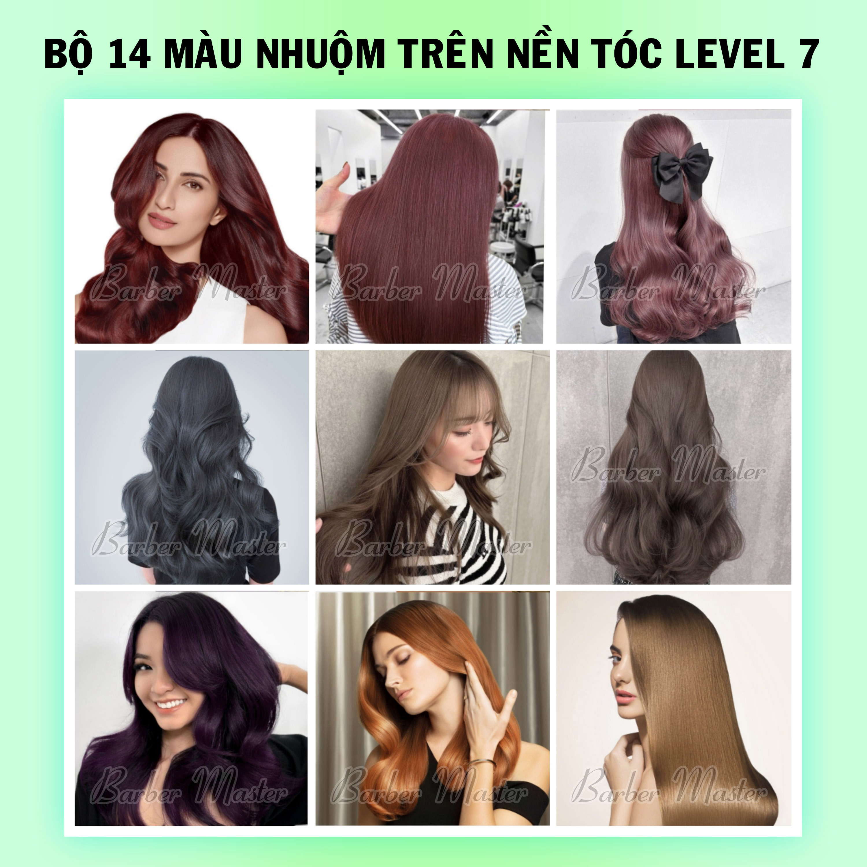 Bộ 14 màu Nhuộm trên nền Level 7