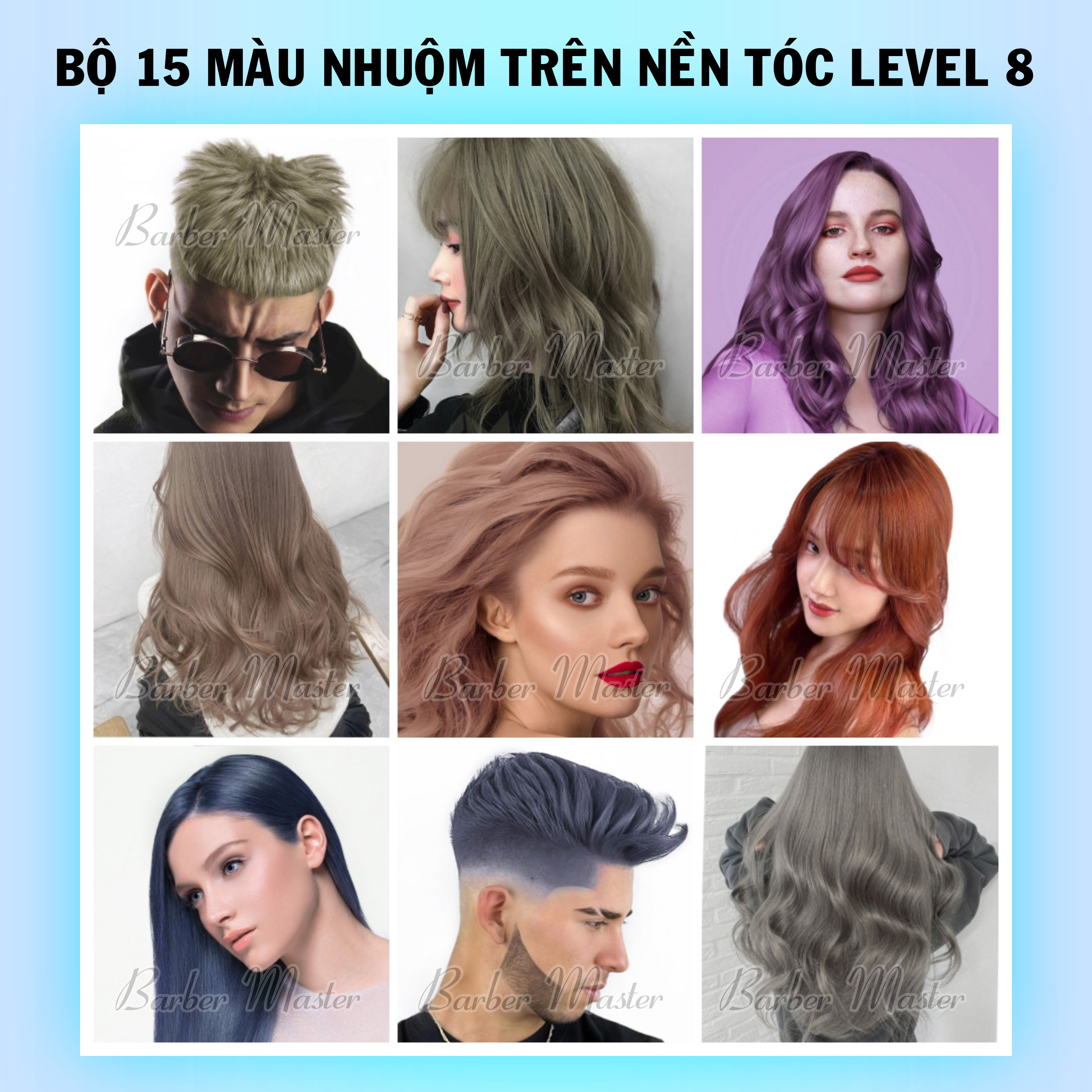 Bộ 15 màu nhuộm trên nền tóc Level 8