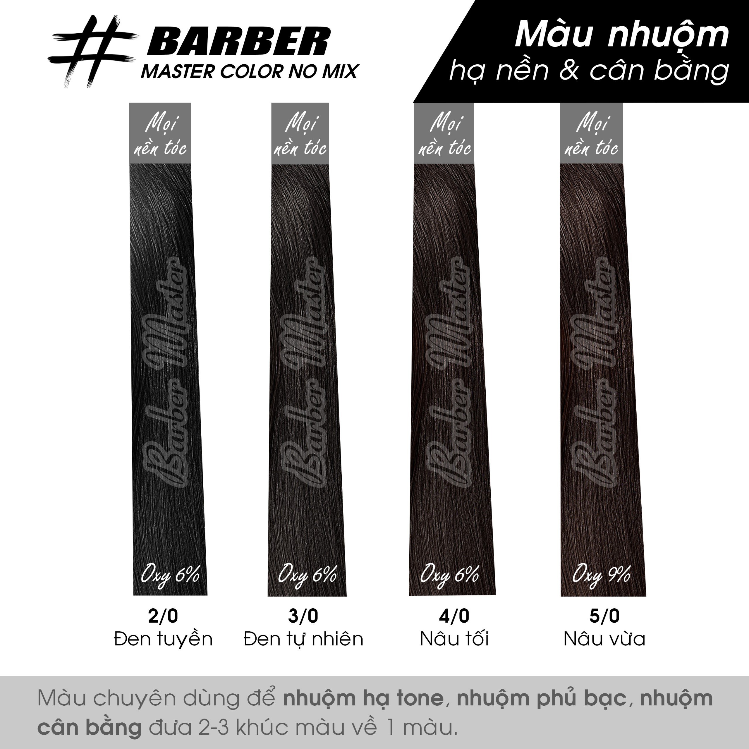 Bộ 10 màu Nhuộm phủ bạc không cần bù màu