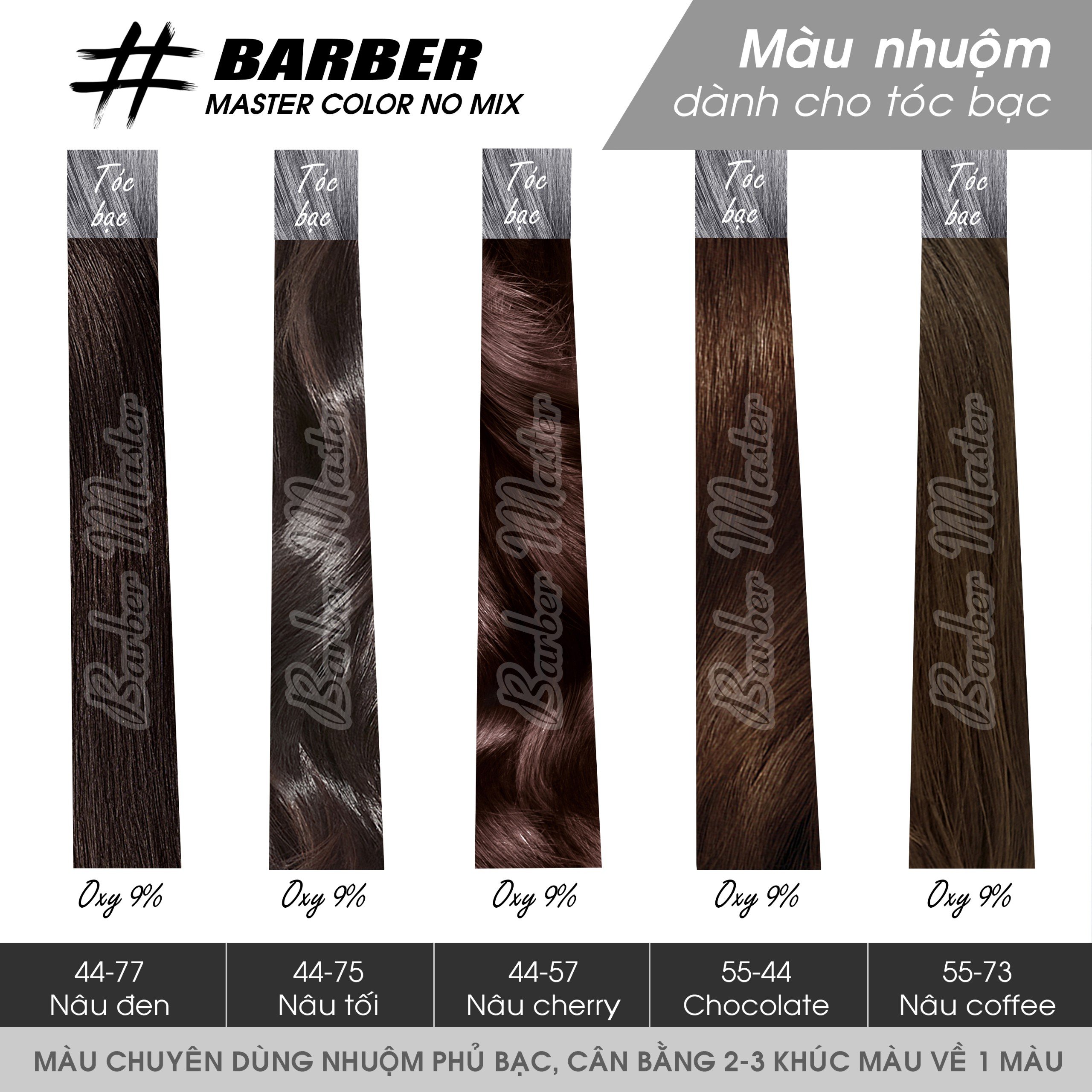 Bộ 10 màu Nhuộm phủ bạc không cần bù màu