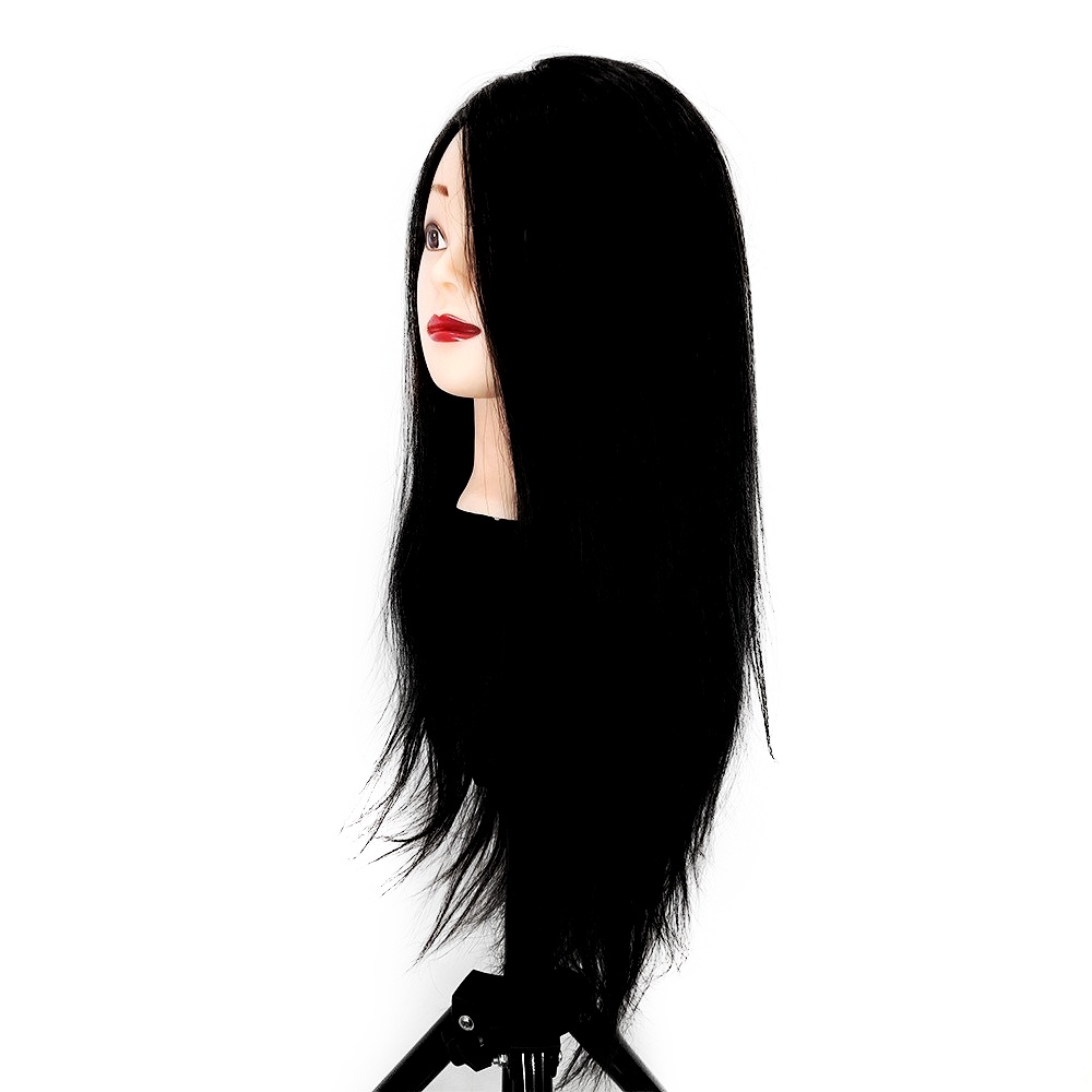 Đầu Ken Nữ Cắt Và Tết Tóc Chuyên Nghiệp