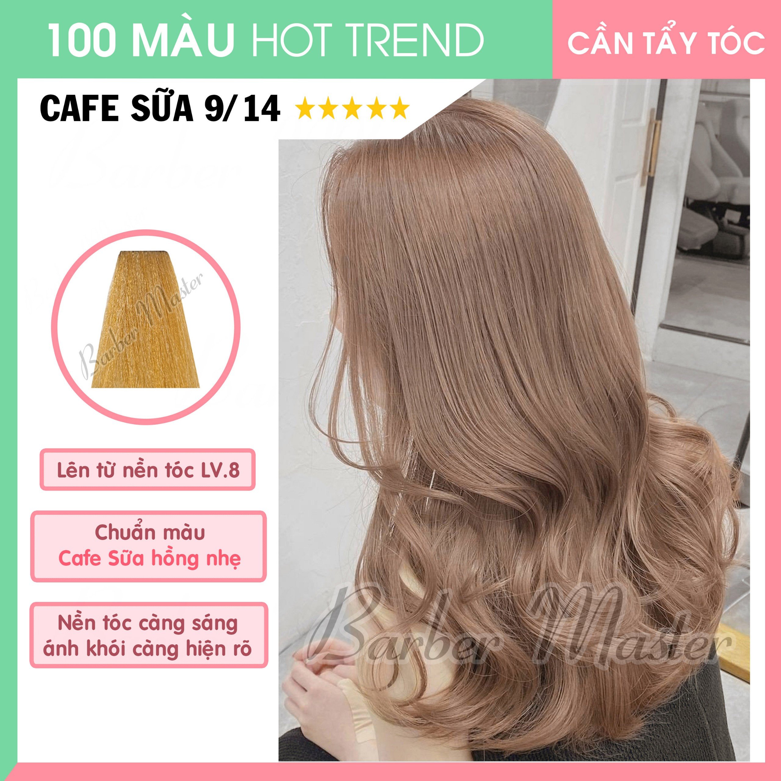 Bộ 15 màu nhuộm trên nền tóc Level 8