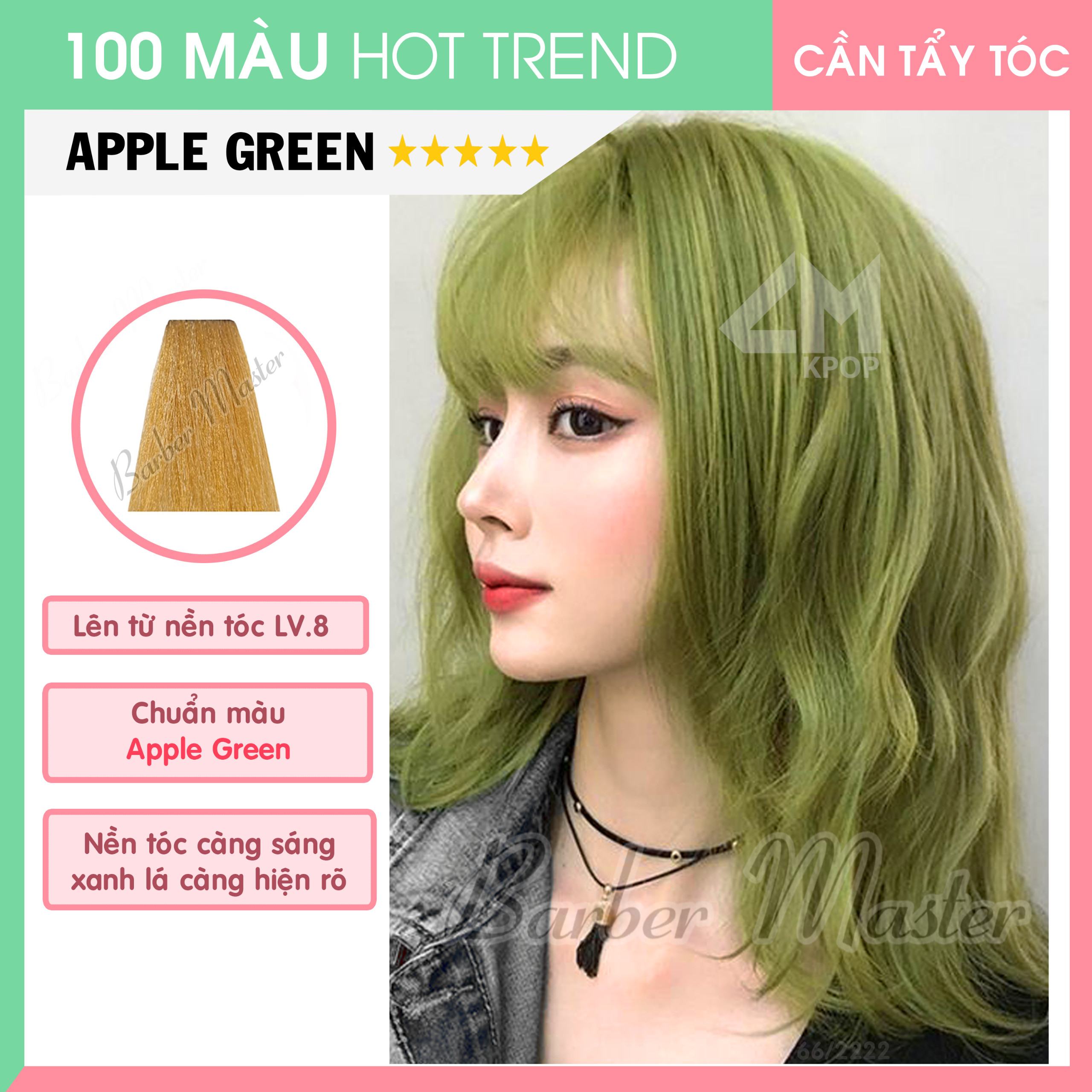 Bộ 15 màu nhuộm trên nền tóc Level 8