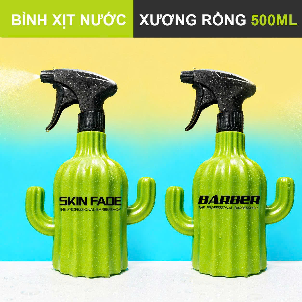 Bình Xịt Nước B13 Xương Rồng 650ml