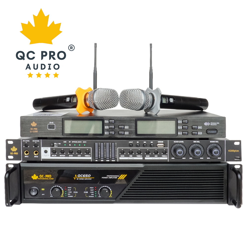 Combo 1 Mic - Vang - Đẩy QC PRO