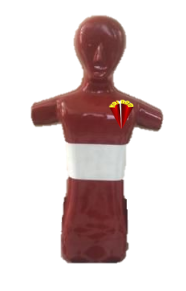 Hình nộm cứu hộ bể bơi/training hàng hải