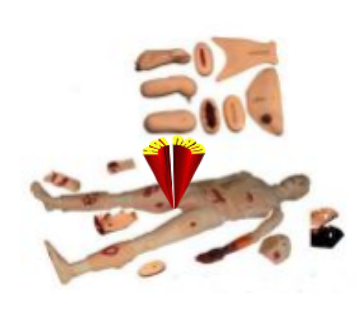 Hình nộm (có thể tháo rời các bộ phận nam nữ)