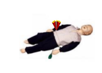 Hình nộm trẻ em (Có thể tháo rời từng bộ phận)