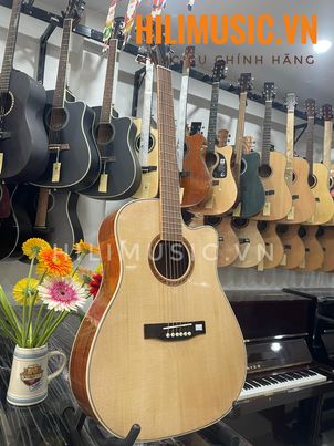 Đàn Guitar Acoustic AG-210FHD full gỗ tự nhiên